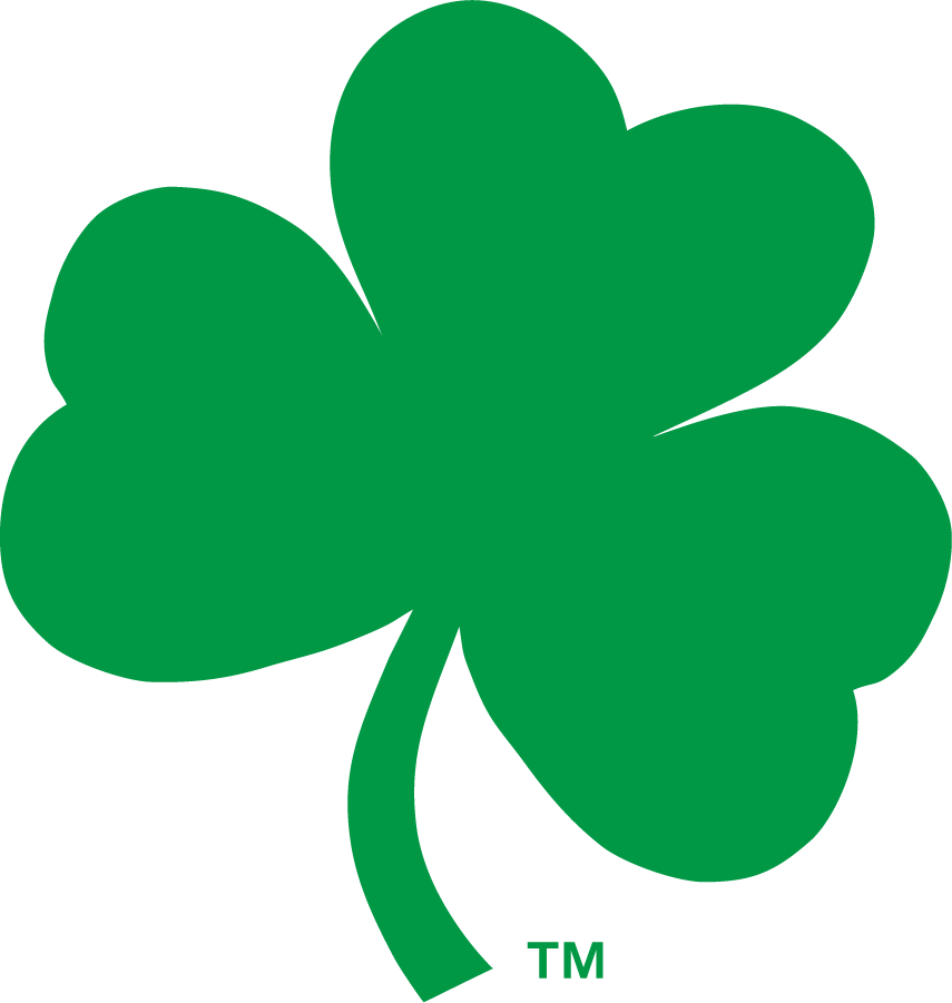Notre Dame Fighting Irish 2006-2015 Secondary Logo v2 t shirts iron on transfers